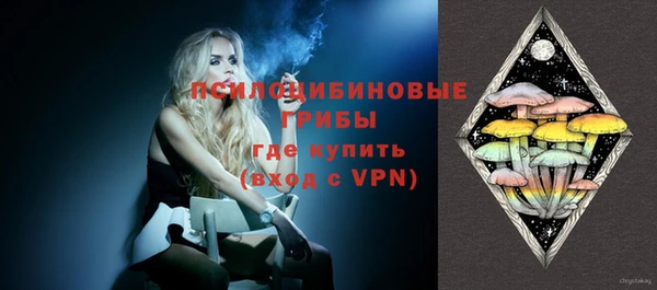 трава Медвежьегорск