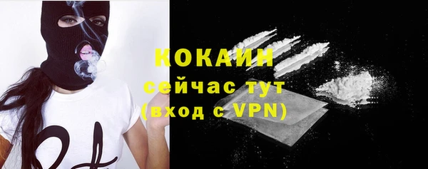 трава Медвежьегорск