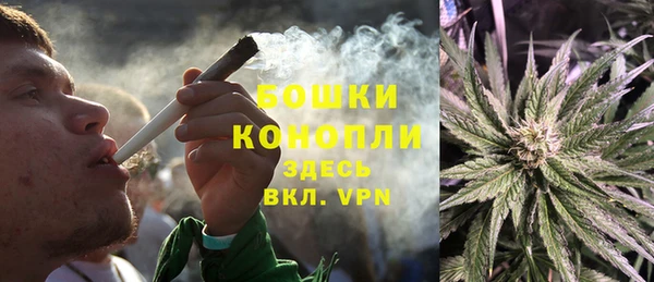 трава Медвежьегорск
