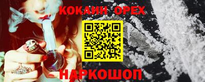СК Гагарин