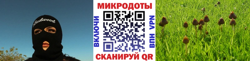 Галлюциногенные грибы мухоморы Йошкар-Ола
