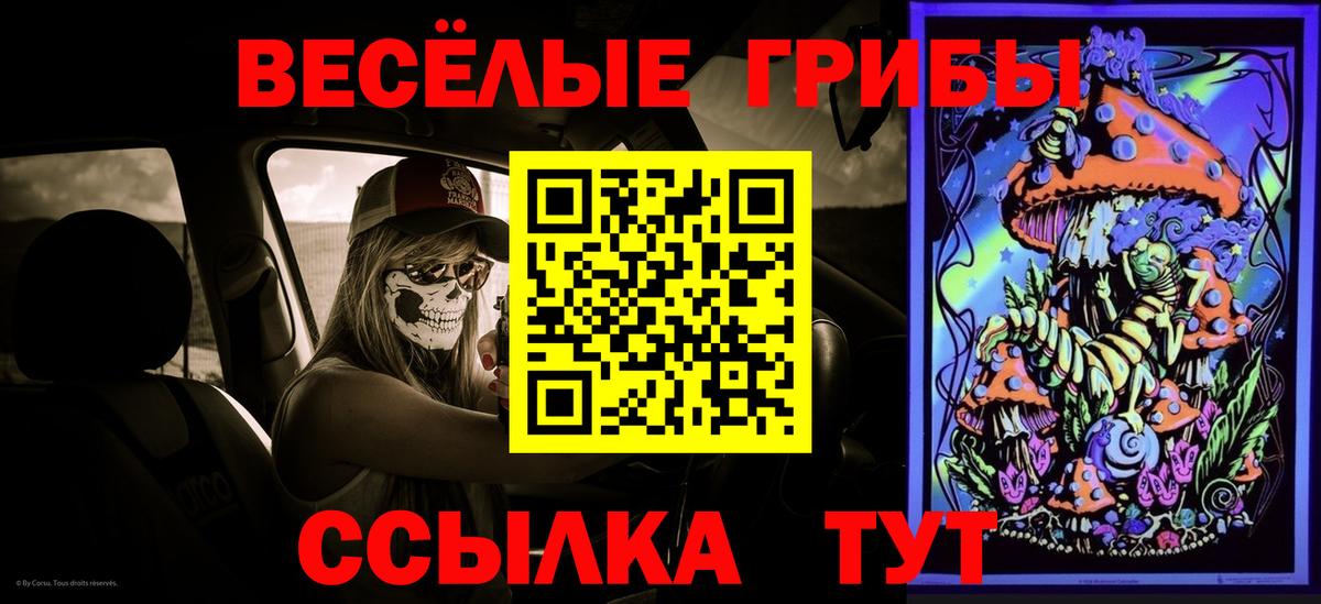 Псилоцибиновые грибы Cubensis Йошкар-Ола