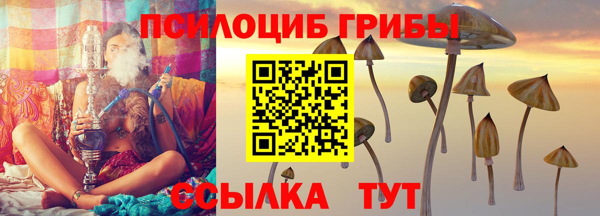 Галлюциногенные грибы прущие грибы  Вход с VPN  Йошкар-Ола  Псилоцибиновые грибы прущие грибы 